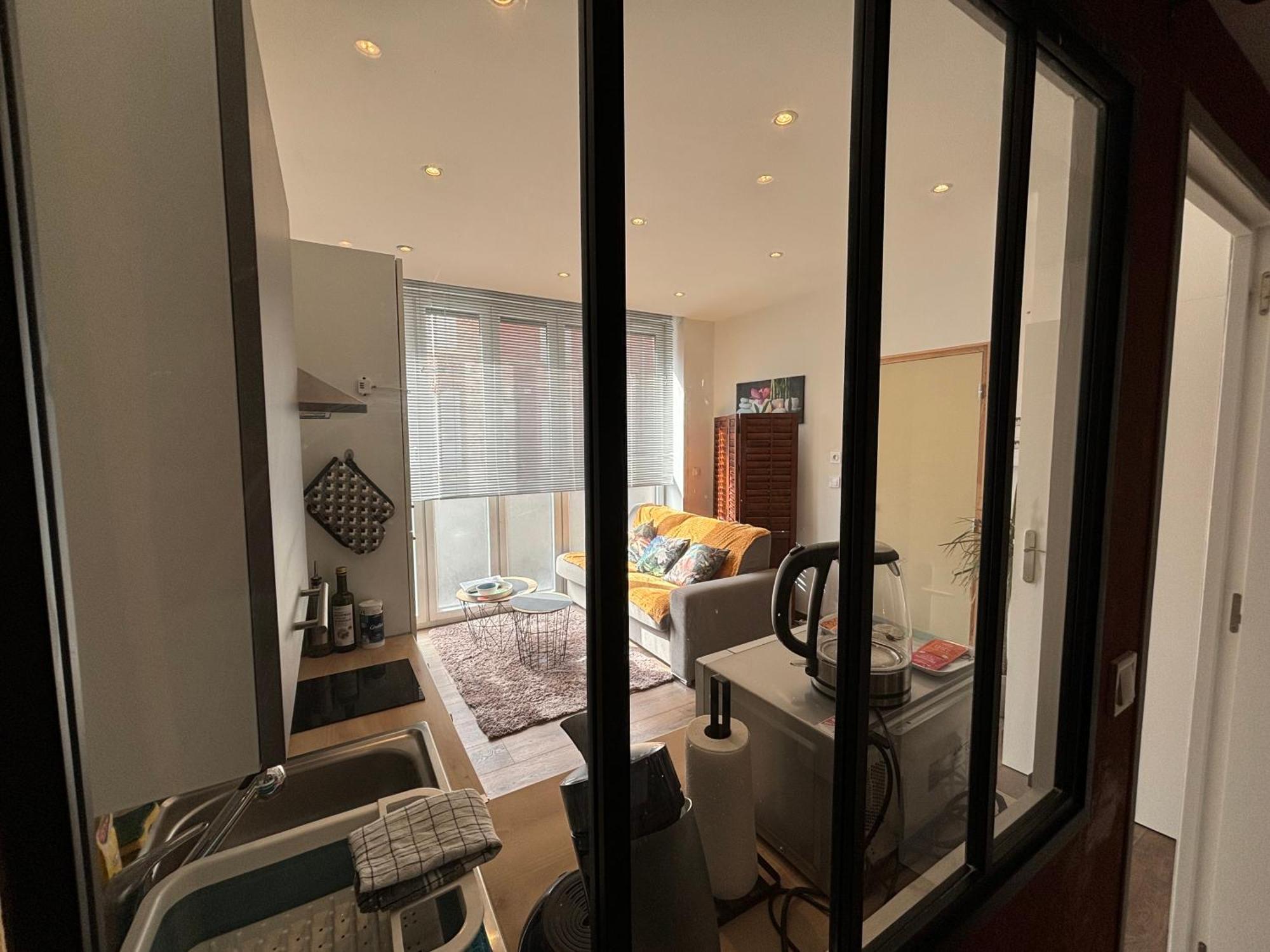 Luminux - 1p A 2p - Henriville Apartment *