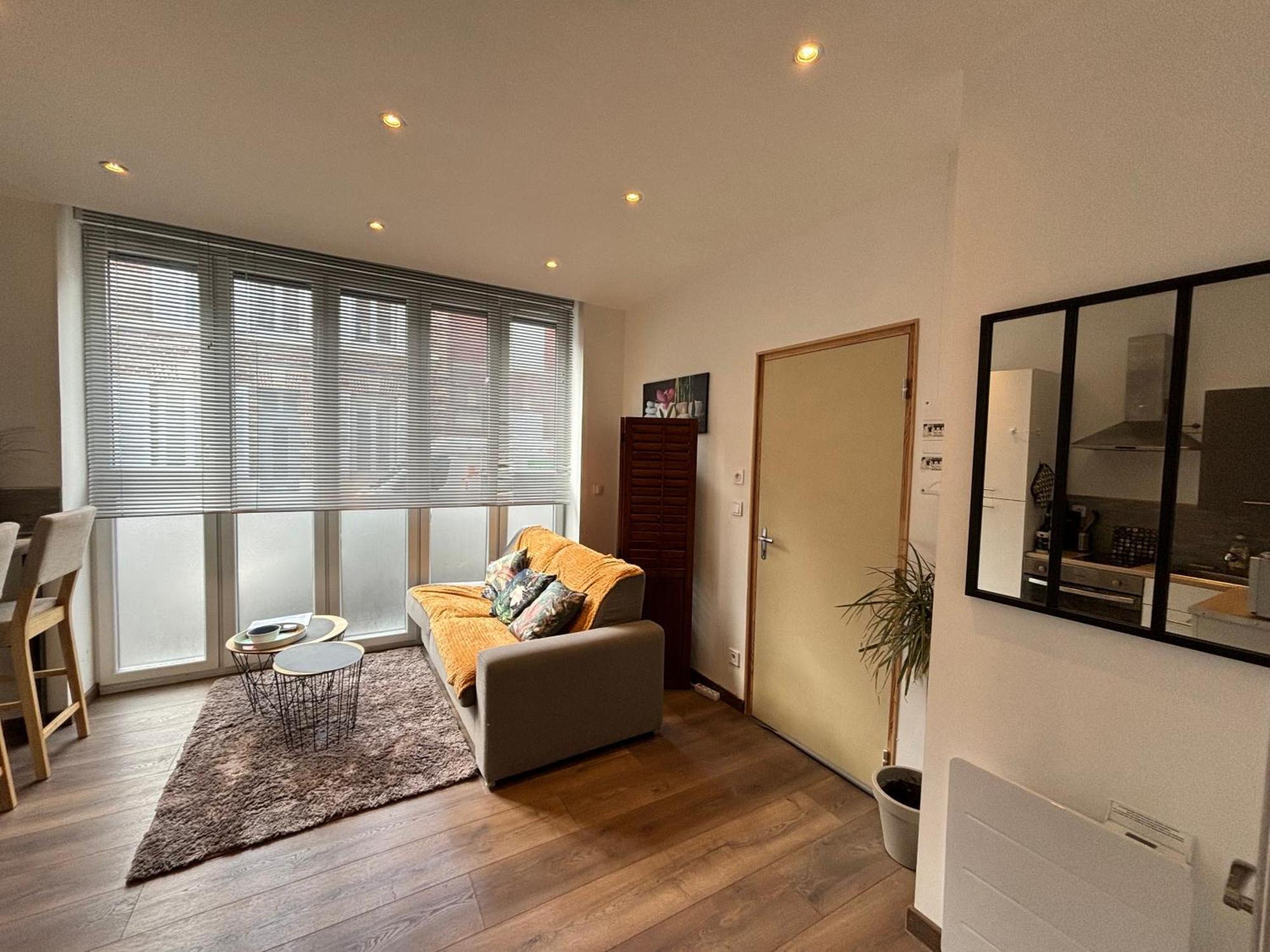 Luminux - 1p A 2p - Henriville Apartment